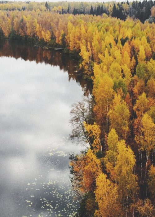 Озеро вид сверху